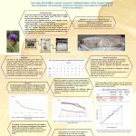 Contribution to study of rennet used in the elaboration of Flor de Guía cheese