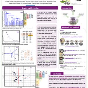Variability of cardoon flowers technological properties for cheesemaking of Cynara cardunculus L. populations from Alentejo (Portugal)
